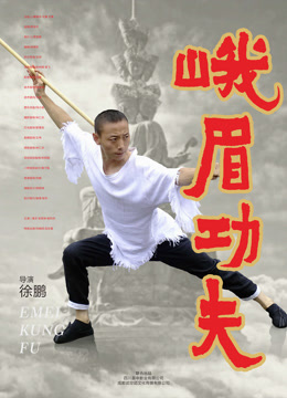 峨眉功夫海报