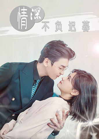 情深不负迟暮海报