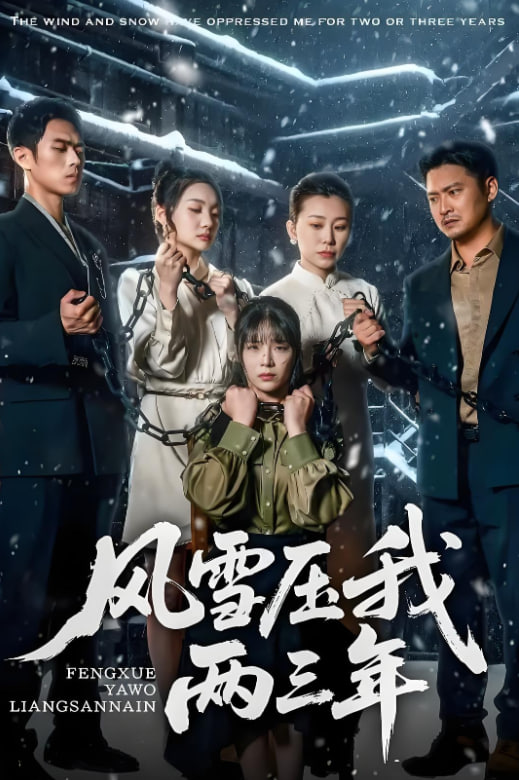 风雪压我两三年海报