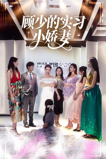 顾少的实习小娇妻海报