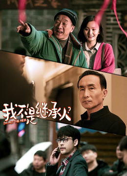 我不是继承人海报