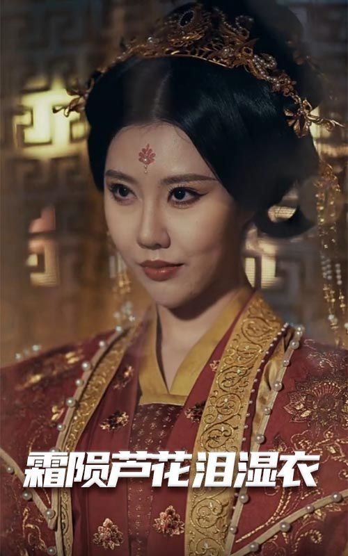 母剑照霜白（霜陨芦花泪湿衣）海报