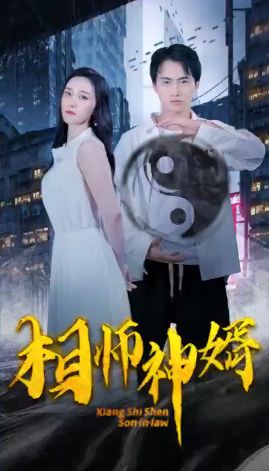 相师神婿海报