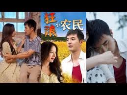 狂浪小农民海报