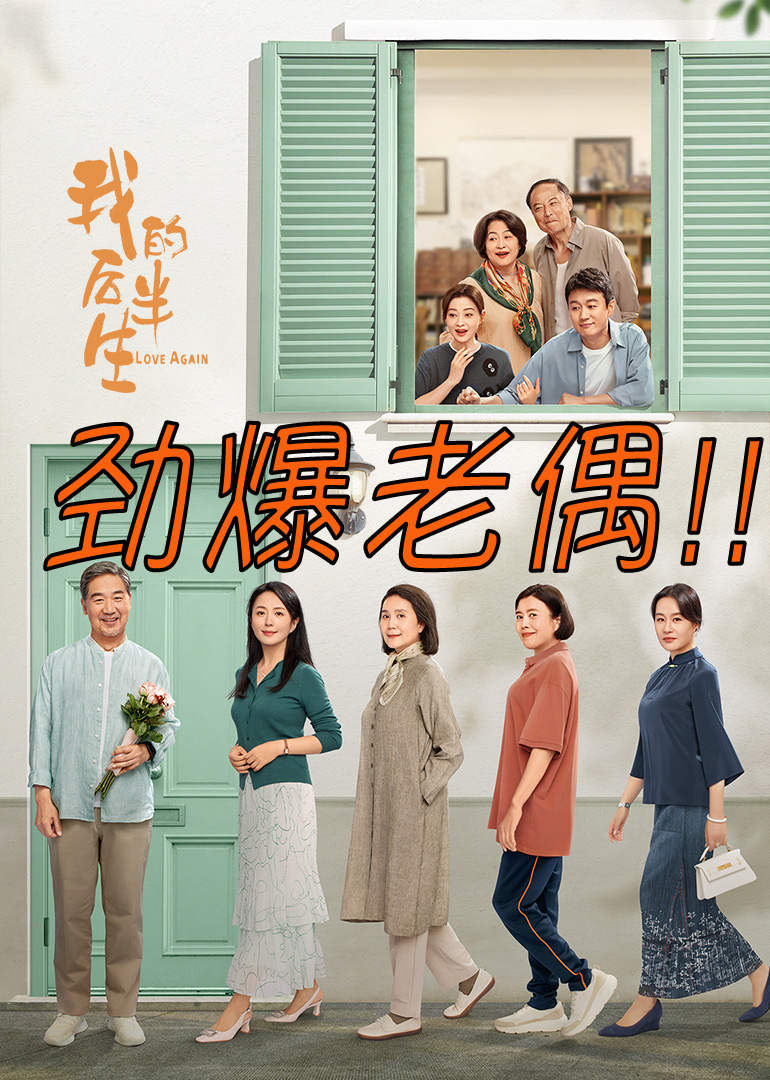 我的后半生海报