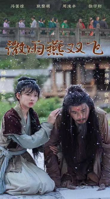 微雨燕双飞海报