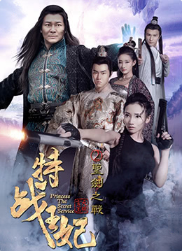 特战王妃2圣剑之战海报
