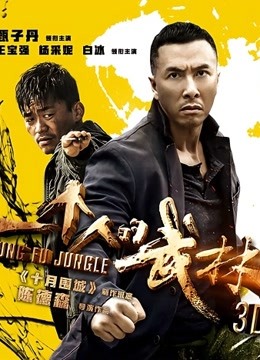 一个人的武林海报