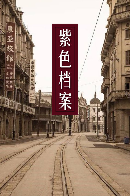 紫色档案海报