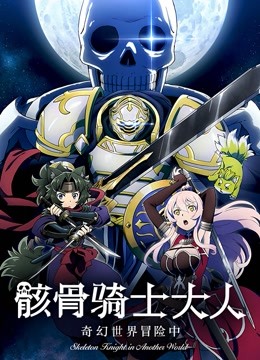 骸骨骑士大人奇幻世界冒险中海报