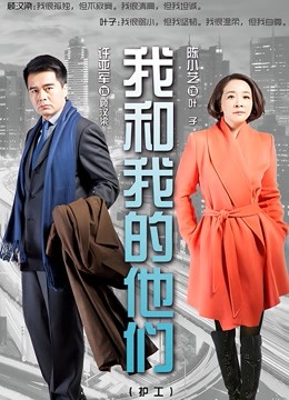 我和我的他们海报