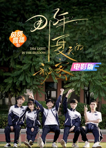 那年夏天的秘密电影版海报