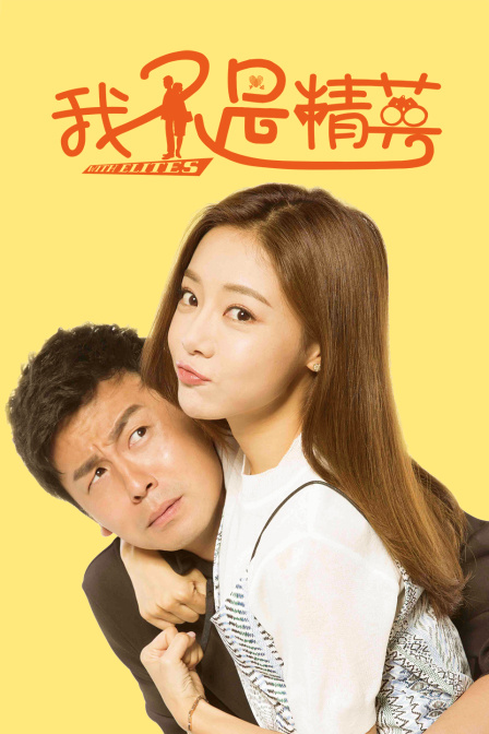 我不是精英 TV版海报