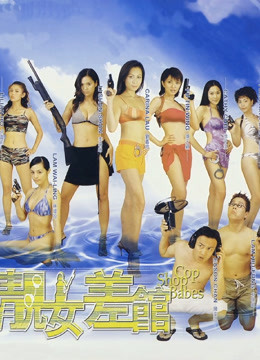 靓女差馆海报