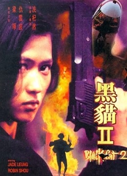 黑猫2海报
