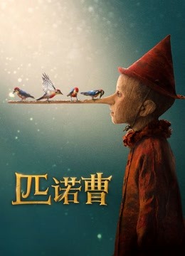 匹诺曹（普通话）海报