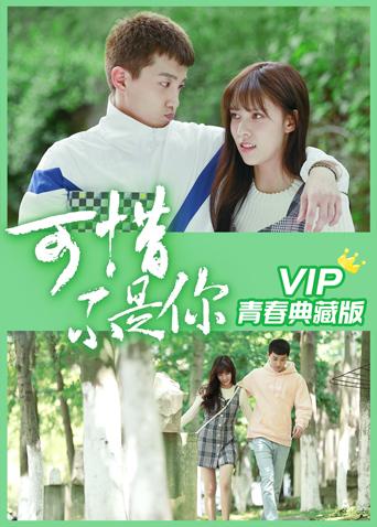可惜不是你 VIP青春典藏版海报