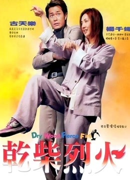 干柴烈火海报